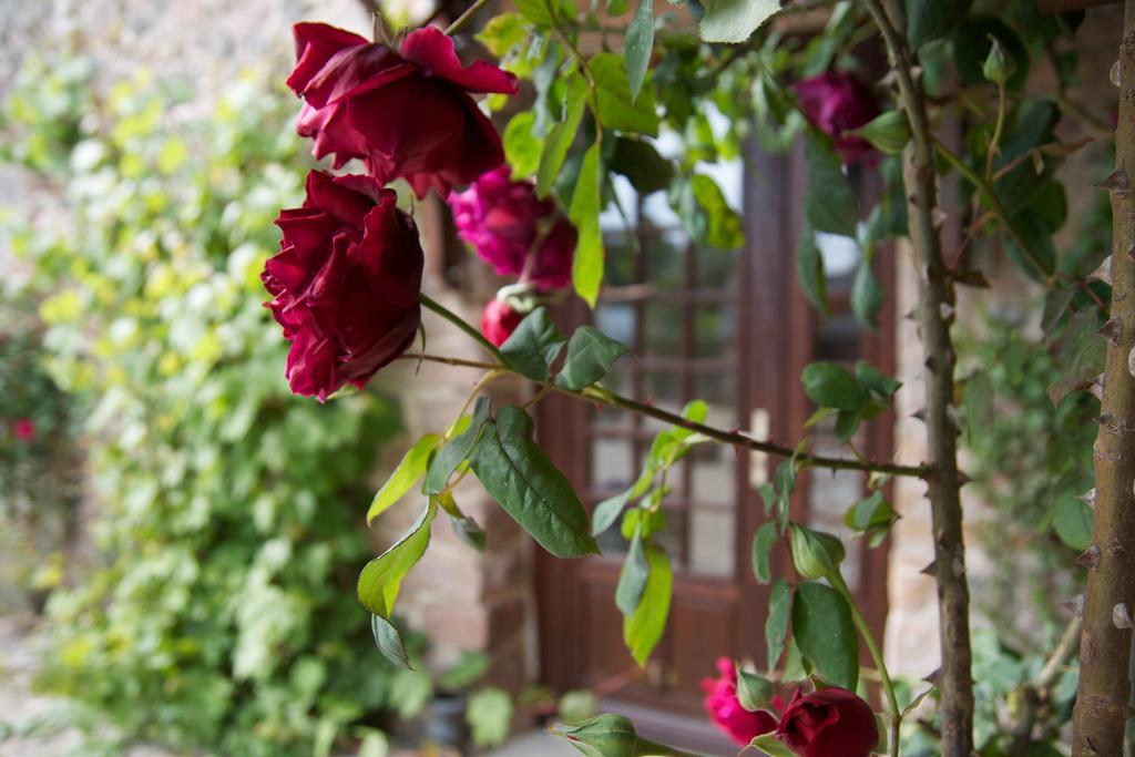 Bed and Breakfast Relais Saint Aubin Еркі Екстер'єр фото